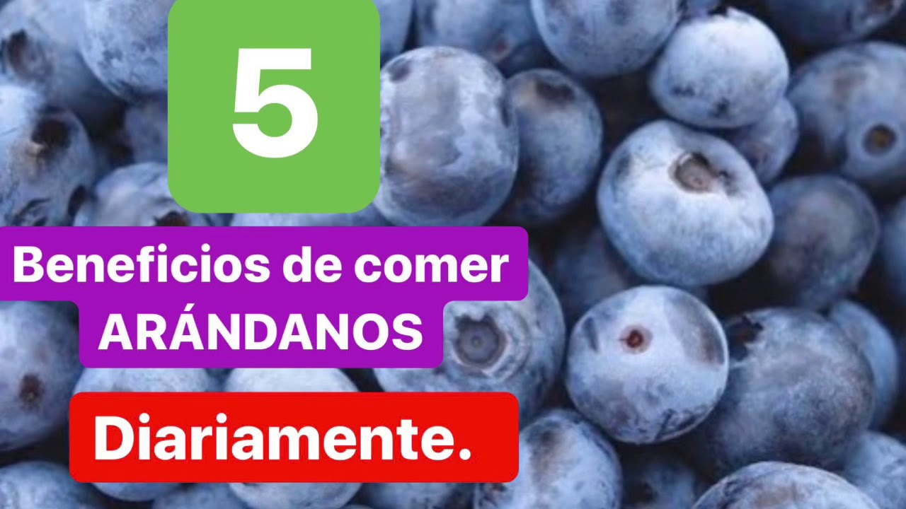 5 beneficios de comer arándano diariamente.