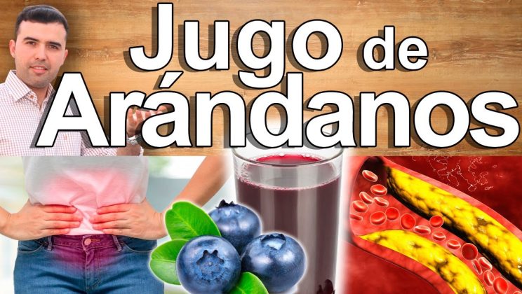 Jugo PODEROSO De Arándanos – Para Qué Sirven Las Bayas, Fresas, Frutillas Cranberry, Blueberry
