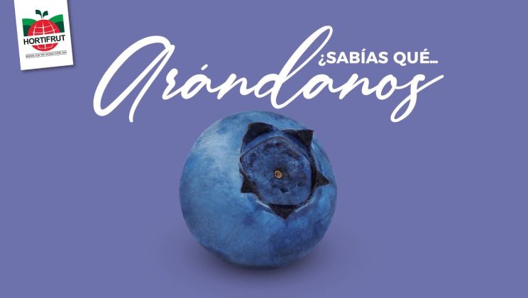 ¿Sabías qué… Arándano y sus beneficios.