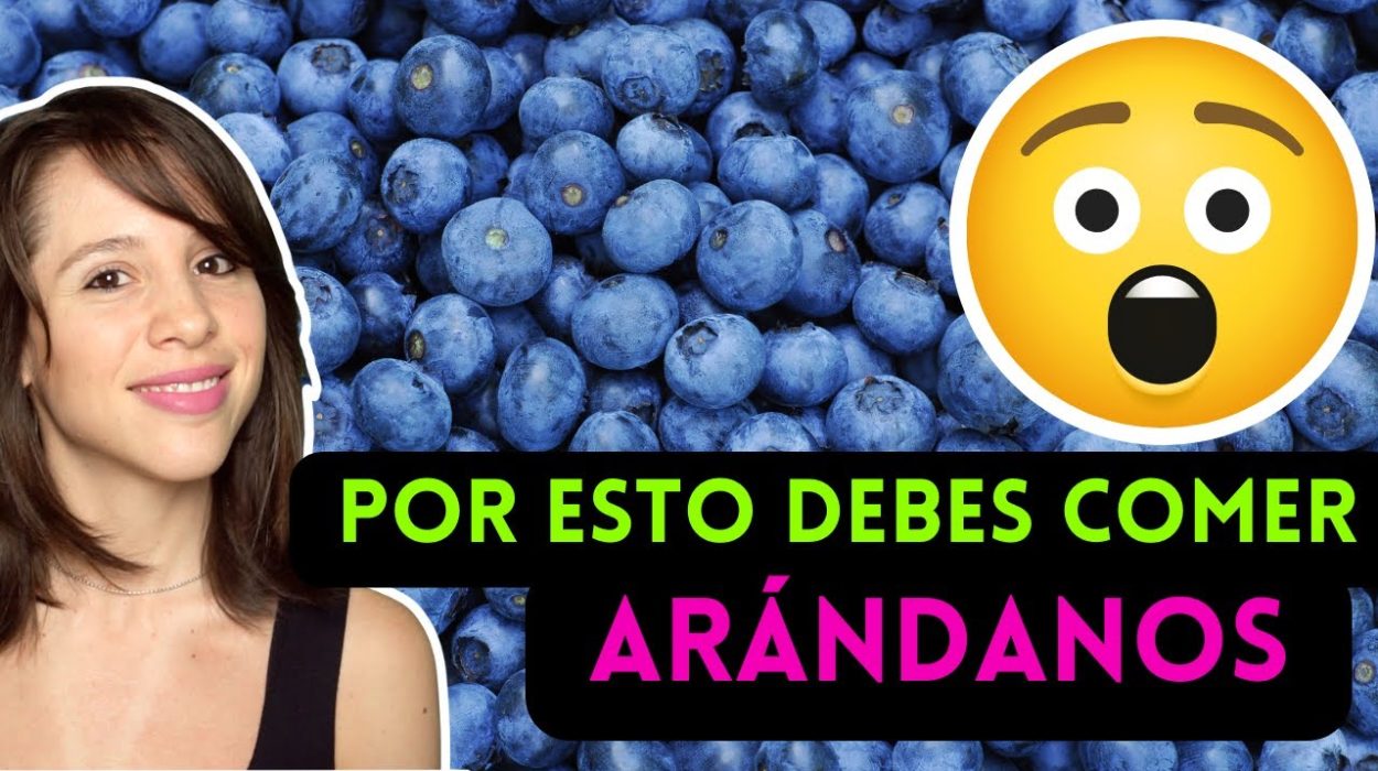 arándanos y sus beneficios