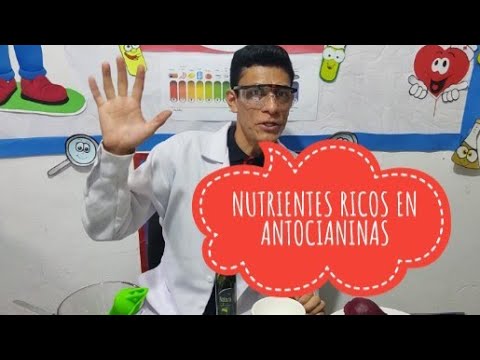 NUTRIENTES RICOS EN ANTOCIANINAS # EXPERIMENTO