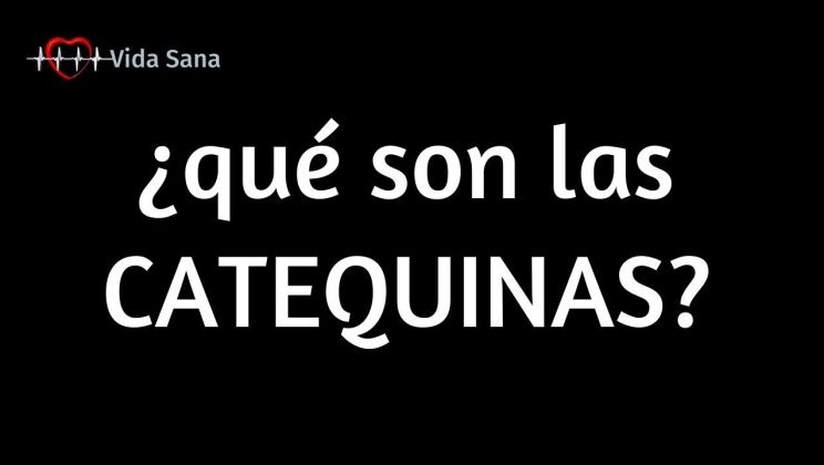 CATEQUINAS |  ¿Qué son las Catequinas? |  VidaSana