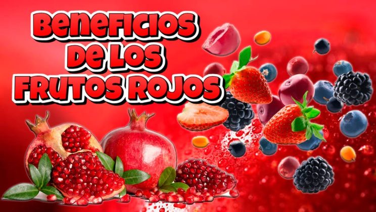Beneficios De Los FRUTOS ROJOS 🍓🍒 7 frutos cargados de ANTIOXIDANTES