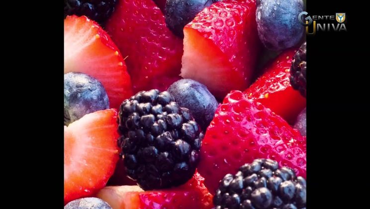 Tip`s de Nutrición Los Flavonoides