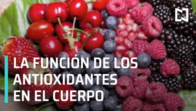 ¿Qué son y para qué sirven los antioxidantes? – Expreso de la Mañana