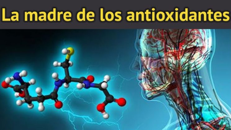 GLUTATIÓN: LA MADRE DE LOS ANTIOXIDANTES – reduce radicales libres