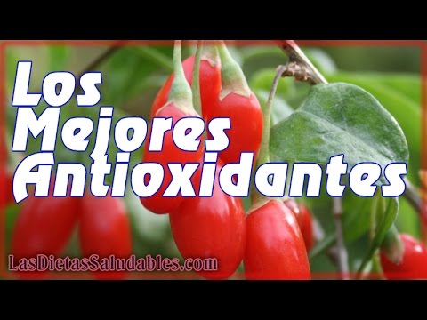 Los Mejores Antioxidantes – Conoce aqui los 5 Mejores Alimentos Antioxidantes