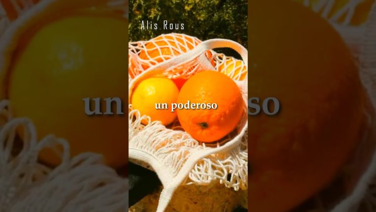 ¡DESCUBRE 3 INCREIBLES ALIMENTOS RICOS EN ANTIOXIDANTES QUE AYUDAN A COMBATIR EL ENVEJECIMIENTO!✨