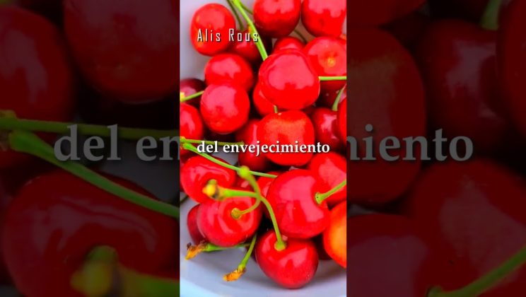 ¡3 MARAVILLOSOS ALIMENTOS RICOS EN ANTIOXIDANTES QUE AYUDAN A COMBATIR EL ENVEJECIMIENTO!✨