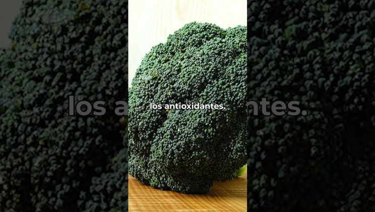 ¿Qué son los antioxidantes?