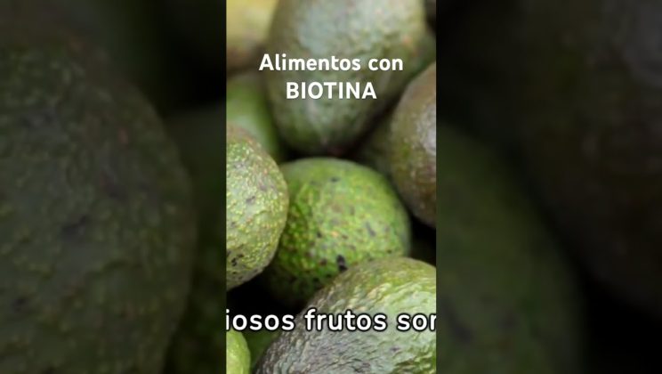 #biotina #alimentos #nueces #almendras #girasol #salmon #aguacates #antioxidantes #verduras #salud